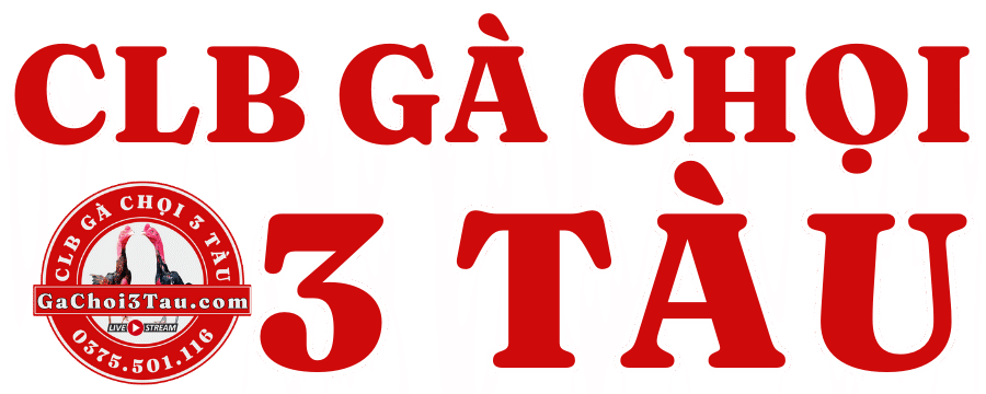 Gà Chọi 3 Tàu
